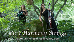 Pure Harmony Strings