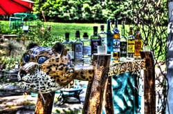 Jaguar Tasting Bar