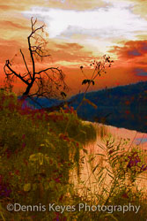 Landscape