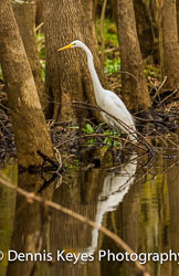 Florida