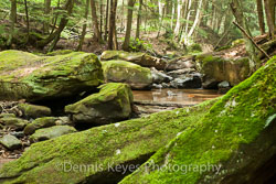 Pennsylvania